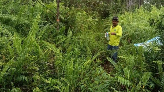 Mahasiswa ULM Hilang di Kapuas Kalteng, Tim SAR Gabungan Lakukan Pencarian Hari Kedua