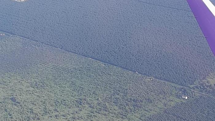 Nyaris Tak Terlihat Gunung dan Rumah  dari Ketinggian Paruparu Dunia Kalteng,  Hamparan Kebun Sawit