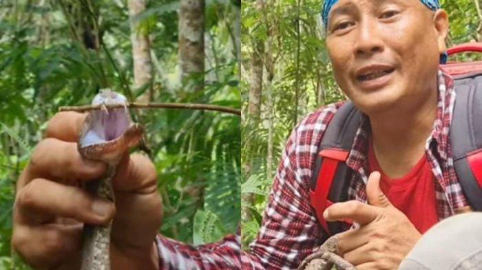 Sosok Heru Gundul si Saksi Munculnya Kuyang di Kalimantan, Jelang Film Horor Sekutu Iblis Tayang