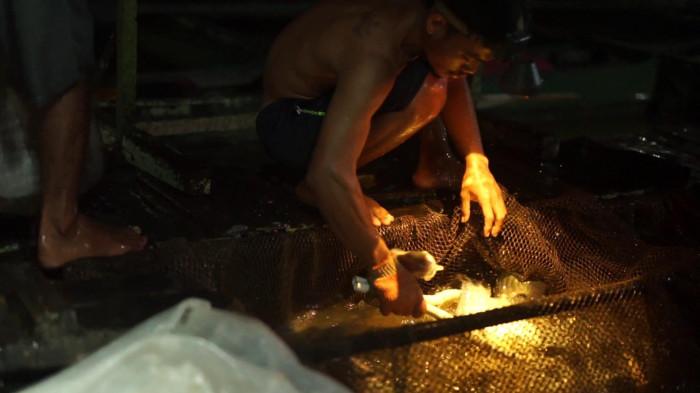 PLN 20 Nov 2025 ok 1