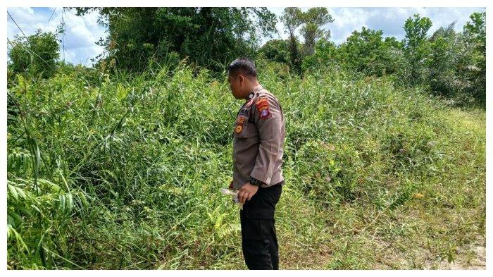 Bocah 10 Tahun Hampir Jadi Korban Asusila di Pahandut Kota Palangka Raya Kalteng, Terduga Anak-anak