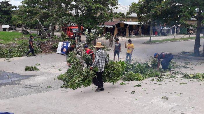 Cuaca Ekstrem, Personel Damkar Gercep Tangani Pohon Tumbang di Pasar Kahayan Palangkaraya