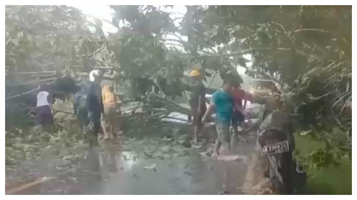 Angin Kencang Terjang Kotim Kalteng, Atap Bangunan Terlepas dan Pohon Menutup Jalan Raya