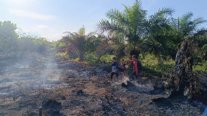 KARHUTLA - Cuaca panas yang masih terjadi meski musim hujan meningkatkan risiko kebakaran hutan dan lahan (karhutla) di Kalimantan Tengah, Sabtu (17/1/2026).