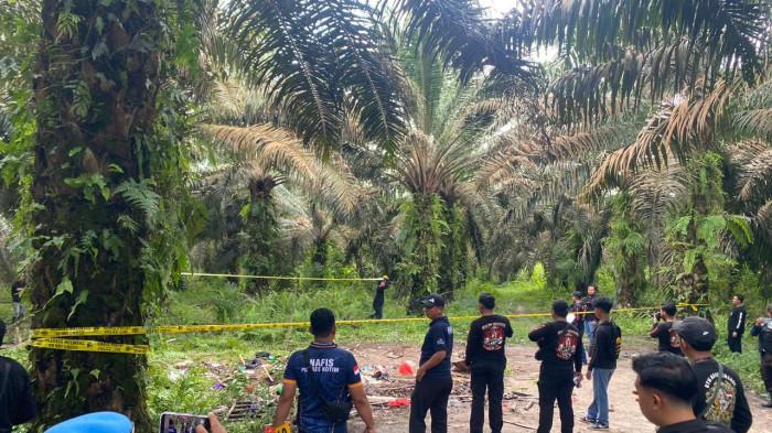 Polres Kotim Sita 4 Pondok Warga di Lahan PT Mulia Agro Permai, Ditemukan Sajam dan Senapan
