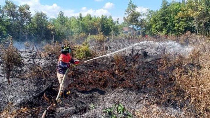 BMKG Palangkaraya, Memasuki Puncak Musim Kemarau, Wilayah Kalteng Nihil Hujan 3 Hari ke depan