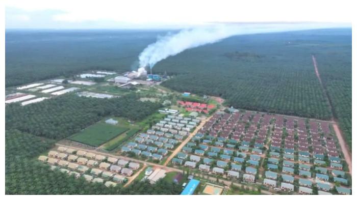 LAHAN SAWIT - Ilustrasi. Luasnya lahan sawit yang dikuasai perusahaan tak sebanding dengan realisasi plasma.