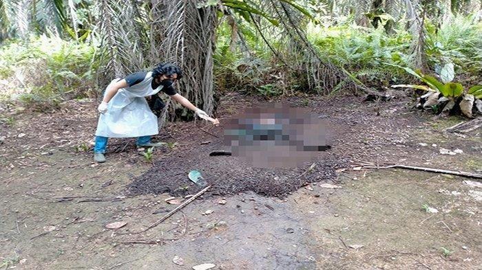 Warga Desa Asam Besar Ketapang, Ditemukan Tak Bernyawa Tertelungkup di Bawah Pohon Sawit