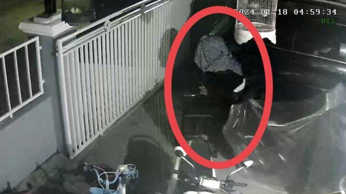 Aksi Pencurian Burung Murai di Jalan Piranha Palangkaraya Terekam CCTV, Pemilik Rugi Rp 2 Juta