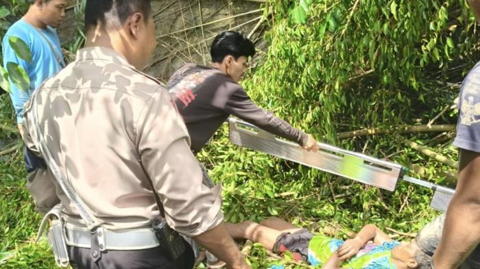 Pria di Palangka Raya Jatuh dari Ketinggian saat Menebang Pohon di Kawasan Jalan Yos sudarso
