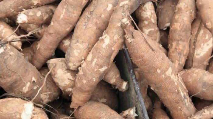 Ini Resep Singkong Goreng Cocol Petis, Pas untuk Temani Ngobrol Saat Sore Bareng Keluarga