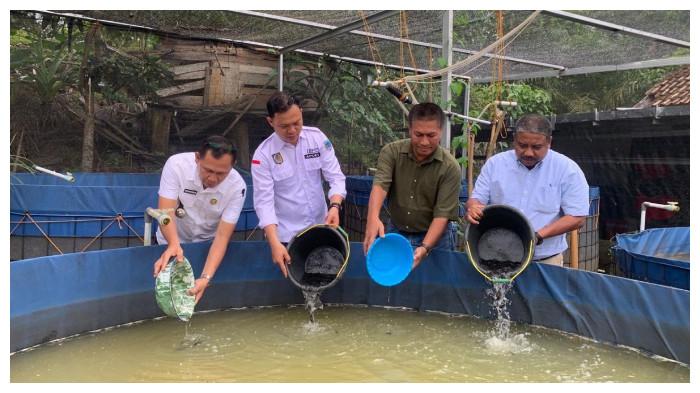tabur ikan lele pt smart