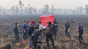 BN-KLHK-segel-lahan-di-kameloh-baruu-2.jpg