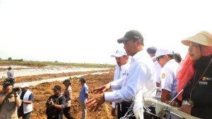Lipsus-mentan-RI-cetak-sawah-1.jpg