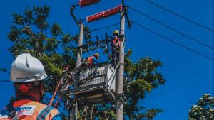 PLN-30-Sept-2025-okkk-2.jpg