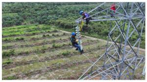 PLN-transmisi-palangka-raya.jpgfoto-kolase-PLN-kerja.jpg