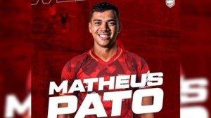 Pato-mateus.jpg