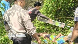 pria-jatuh-dari-pohonnn.jpg