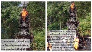pura-viral.jpg