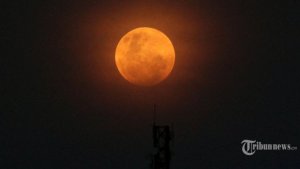 tribunkalteng-gerhana-bulan-super-moon_20180201_065324.jpg
