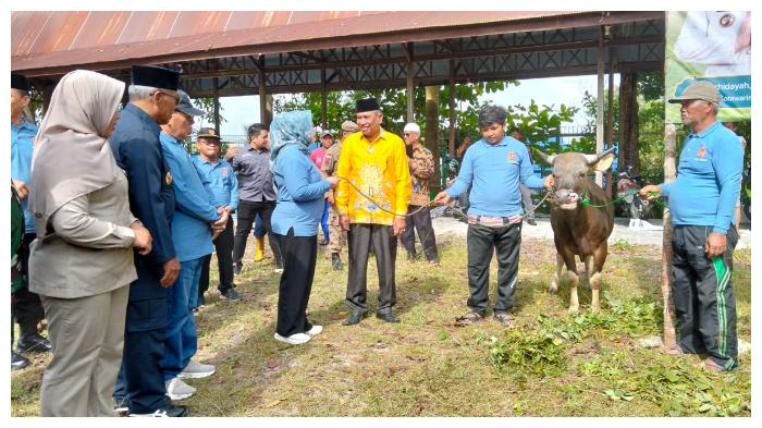 Bupati-Kobar-serah-hewan-kurban.jpg