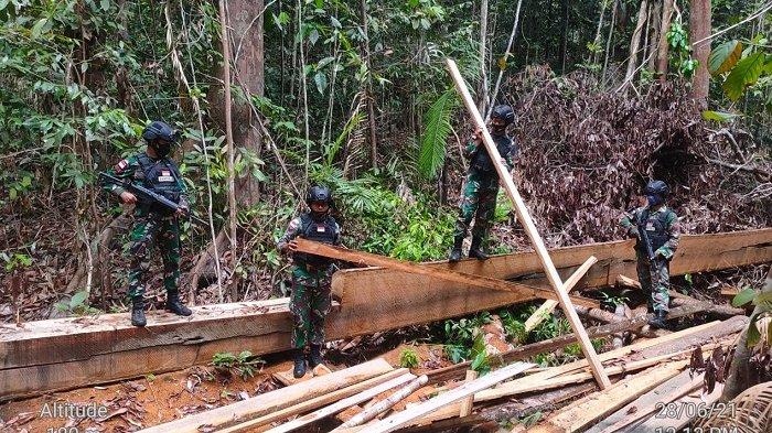Ilegal-logging-di-Kaltara.jpg