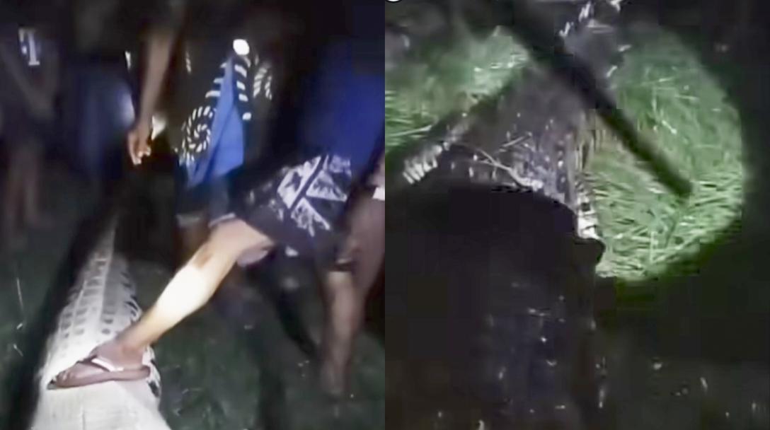 Kotim-buaya-Kalteng-f.jpg