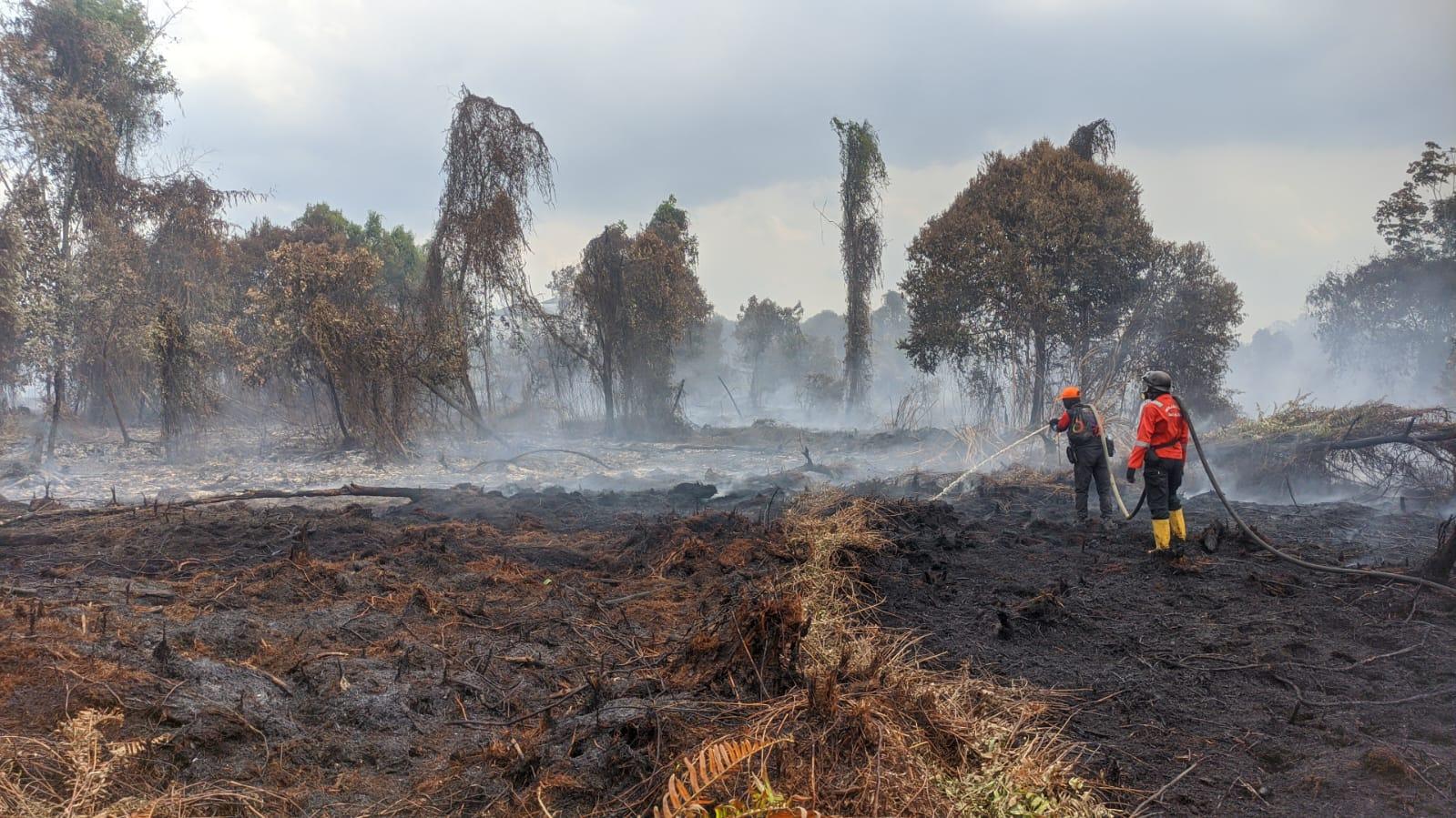 Masa Berlaku Status Tanggap Segera Berakhir, Kasus Karhutla Malah Meningkat di Kotim Kalteng