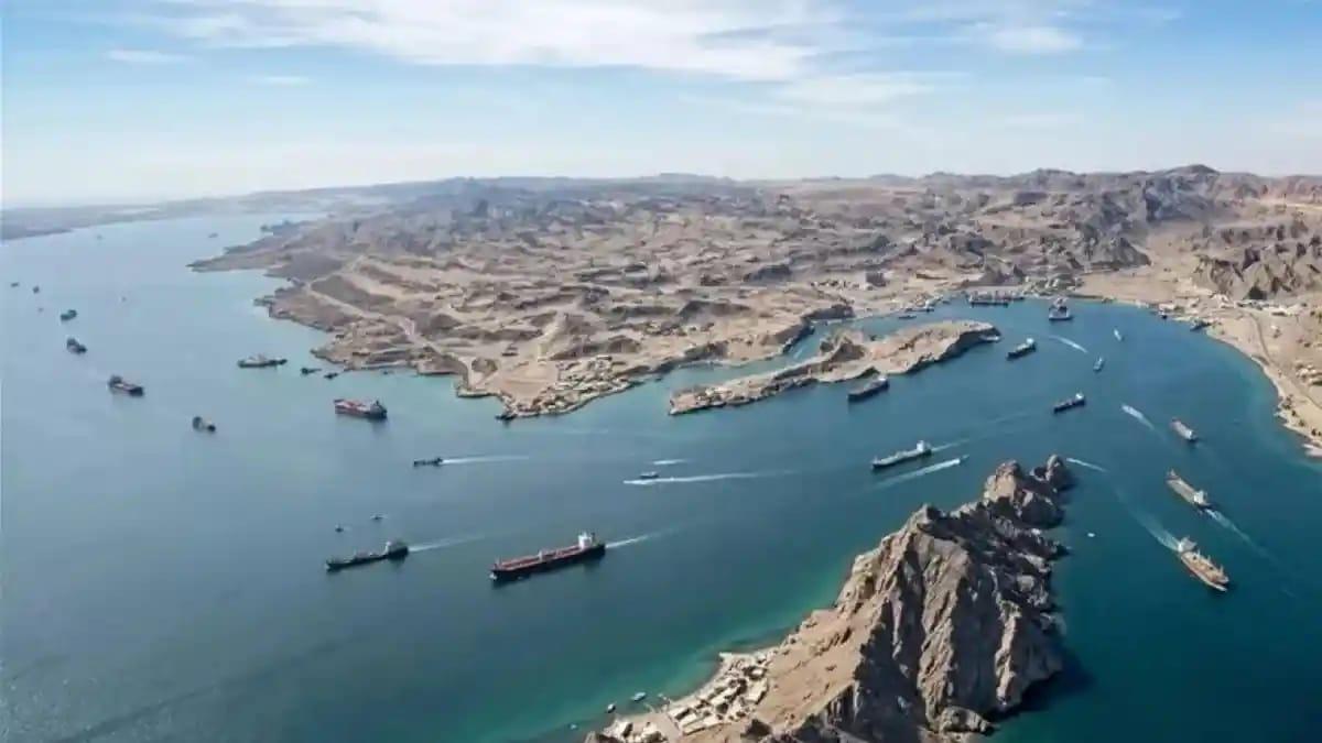 Selar-hormuz-d.jpg