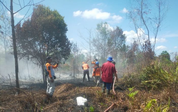 Kebakaran Lahan Semak Belukar di Kotim Makin Marak, Dalam Sehari Hingga 5 Kali Lahan Terbakar