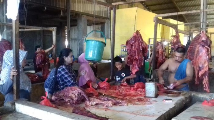 tribun-kalteng-daging-kuda_20170526_203346.jpg