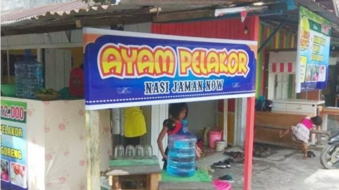 tribunkalteng-ayam-pelakor-nasi-jaman-now_20180113_123945.jpg