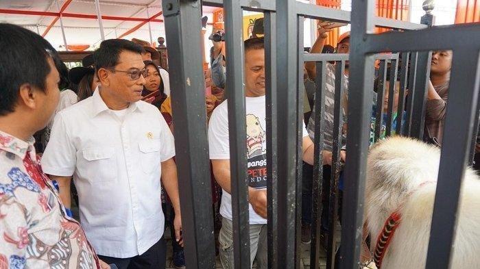 tribunkalteng-dr-moeldoko-kepala-staf-kepresidenan.jpg