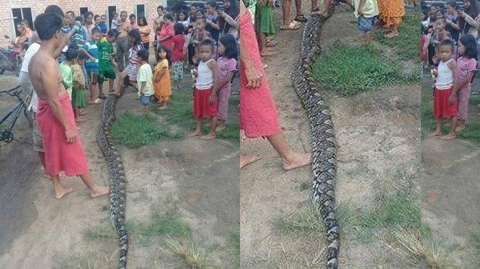 Magnitogorsk mushuklari Eshli Bruk porno video