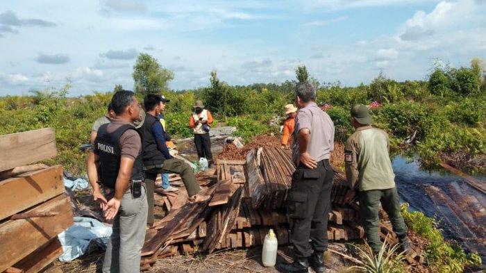 tribunkaltengcom-kayu-ilegal-tn-sebangau.jpg