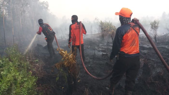 BPBD Kotim Siaga 24x7, Kalaksa Multazam: Jam Rawan Peristiwa Karhutla Terjadi Malam Hari