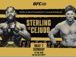 Aljamain-Sterling-vs-Henry-Cejudo-di-Live-Streaming-Mola-TV.jpg