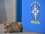 Brazil-Lempar-Kucing-dalam-konferensi-pers.jpg