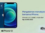 Harga-iPhone-11-iPhone-12-iPhone-13-dan-iPhone-14-turun-resmi-di-Ibox.jpg