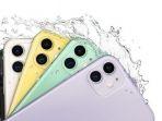 IPhone-11-d.jpg