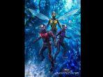 Poster-film-Marvel-Ant-Man-and-the-Wasp-Quantumania.jpg