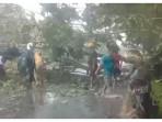 angin-kencang-pohon-tumbang-sampit.jpg