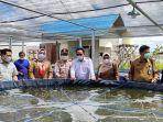bioflokkkk-budi-daya-ikan.jpg