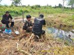 buaya-di-MHU-kotim.jpg