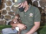 evakuasi-orangutan-sampit.jpg