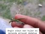hujan-es-di-dadahup-kapuas-kalteng.jpg