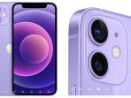 iPhone-12-varian-warna-ungu.jpg