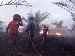kebakaran-lahan-kobar-223.jpg