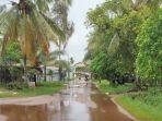 mendawai-palangka-banjir-f.jpg
