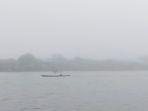 pahandut-seberang-kabut.jpg